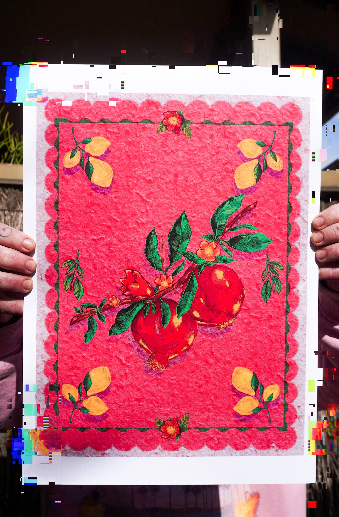 Pomegranate LIMITED EDITION PRINT