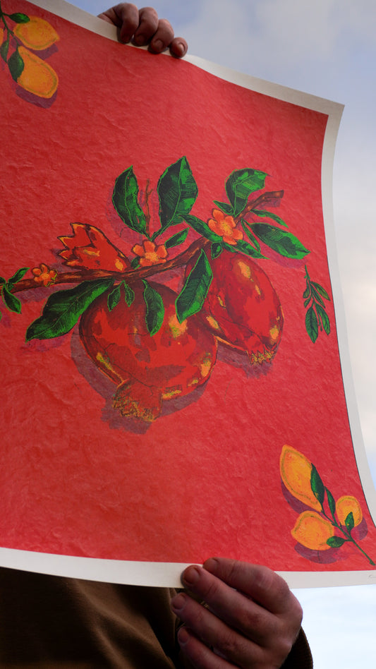 Pomegranate LIMITED EDITION PRINT