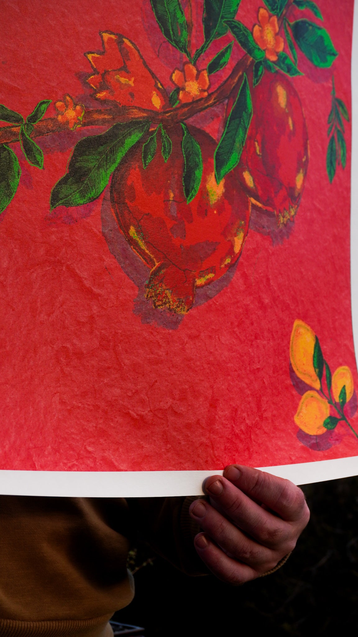 Pomegranate LIMITED EDITION PRINT