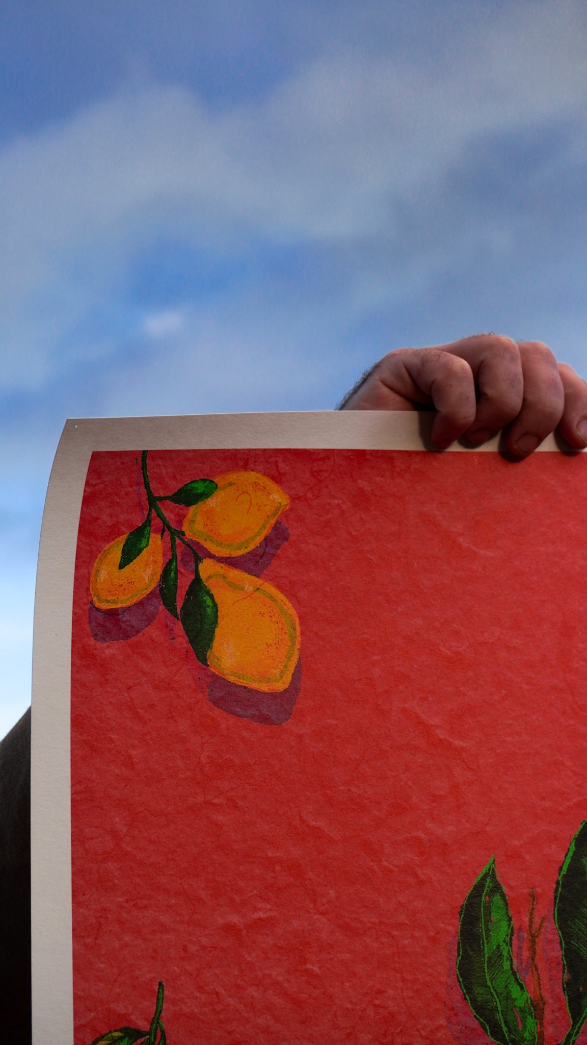 Pomegranate LIMITED EDITION PRINT